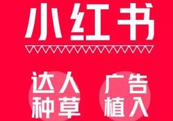 小紅書(shū)推廣策略