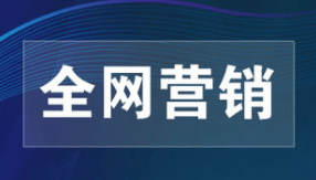 全網(wǎng)營銷策劃