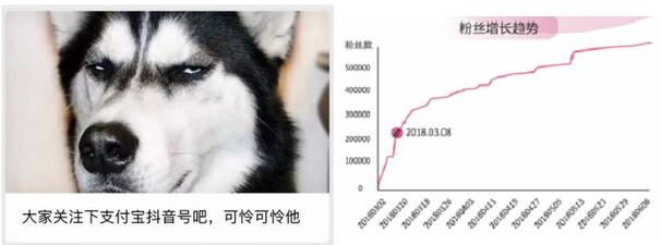 一條抖音為品牌帶來2.7億次曝光？企業(yè)抖音藍(lán)V最全攻略！