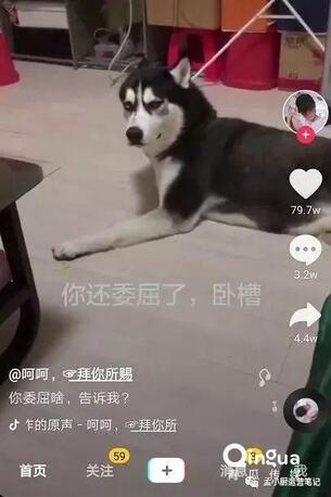 怎么做抖音？抖音6種運(yùn)營推廣技巧！