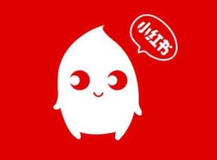 如何策劃一場高效益的小紅書推廣?