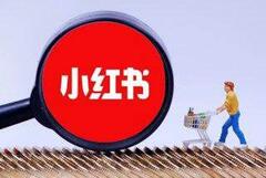 品牌主在小紅書上的KOL選擇時(shí)需要考慮哪些因素？